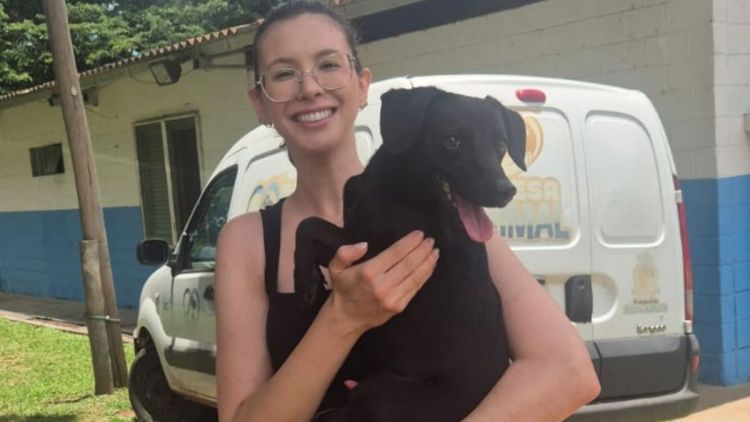 Feira de adoção do canil municipal oferece mais de 280 animais neste sábado