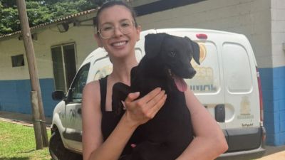 Feira de adoção do canil municipal oferece mais de 280 animais neste sábado