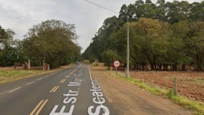 Vicinal Guilherme Scatena será interditada para poda de árvores