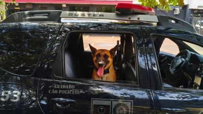 Guarda Municipal apreende grande quantidade de drogas no bairro São Carlos V