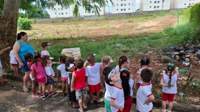 Rede municipal de ensino reforça ações educativas contra a dengue