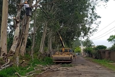 Itirapina inicia poda de árvores na estrada do DER