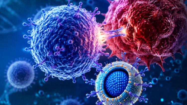 Estudo de pesquisadores da USP São Carlos confirma que imunoterapia ganha força na luta contra o câncer com o avanço de terapia CAR-T e de Nanovacinas