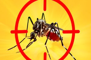 São Carlos registra 701 casos positivos de dengue em uma semana