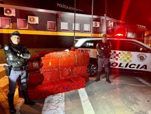 PM Rodoviária prende homem com mais de meia tonelada de maconha