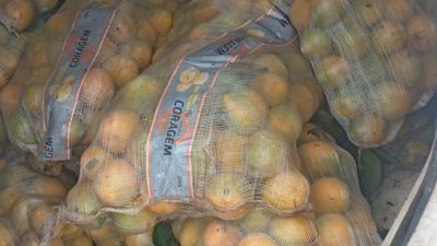 Vistoria em veículo leva PM a descobrir furto de laranjas em propriedade rural