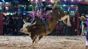 Prefeitura de Ibaté emite alvará para uso de espaço público na Expo Rodeio 2026