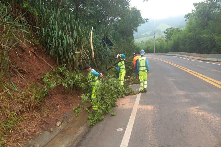 Eixo faz manutenção no trecho de serra da SP 304