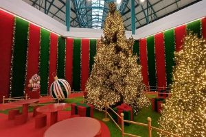 Iguatemi São Carlos anuncia novidades na programação de Natal para o mês de dezembro