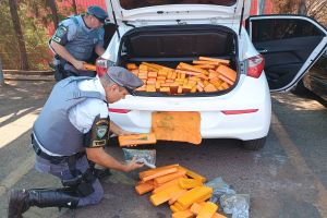 PM Rodoviária apreende 350 tijolos de maconha em carro clonado no interior de SP