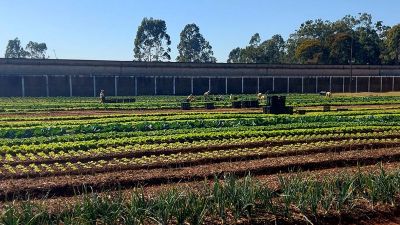 Araraquara conquista 2º lugar em premiação estadual