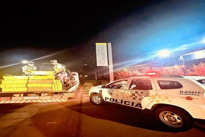 Polícia Militar apreende mais de 200 kg de maconha no interior de São Paulo