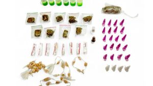 enúncia anônima leva Guarda Municipal a ponto de tráfico em Ibaté