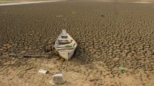 Brasil promete restaurar 163 mil km² de terras degradadas até 2030
