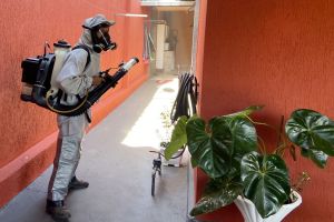 IBATÉ | Saúde intensifica ações de combate à Dengue