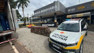 Motorista é preso com 1,7 tonelada de maconha escondida em carga de colchões em Penápolis