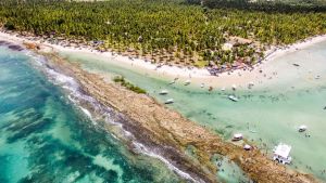 Barulho de barco e de turistas afeta comunicação de peixes, diz estudo