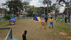 Vereador Elton Carvalho destina R$ 100 mil para construção com foco no bem estar animal e socialização