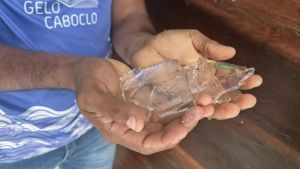 Energia solar viabiliza fábrica de gelo em comunidade ribeirinha