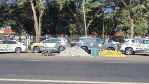 Polícia Rodoviária apreende meia tonelada de drogas escondida em caminhão frigorífico