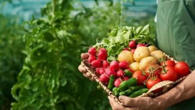 Speed Agro inicia nova fase para acelerar Agtechs na região de São Carlos