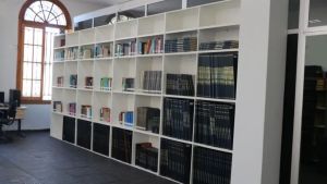 Síntese das Estatísticas de Uso da Biblioteca Jurídica no ano de 2025
