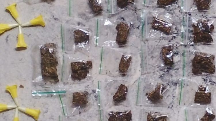 Fuga de suspeitos leva Guarda Municipal a apreender drogas em árvore no Jardim Cruzado