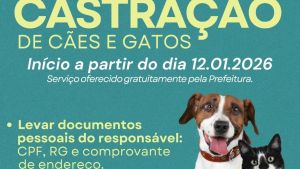 Prefeitura de Descalvado abre cadastros para programa gratuito de castração de cães e gatos