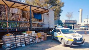Carreta que fugiu de pedágio é apreendida com 1,3 tonelada de maconha em Itu