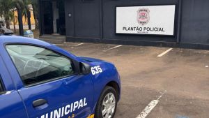 Muralha Paulista: 25 pessoas foram capturadas desde a implantação do programa