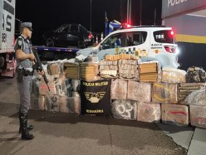 Polícia Rodoviária apreende 1 tonelada de maconha em Presidente Venceslau
