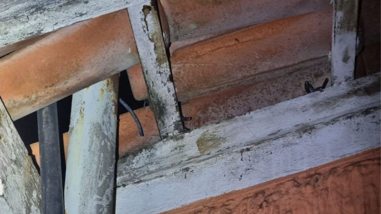 Alarme dispara e guarda flagra casal com fios cortados na Biblioteca Amadeu Amaral