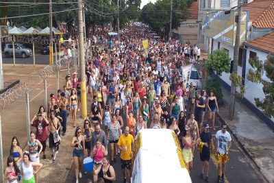 “Carnaval 2025: Tradição da Alegria”: confira a programação dos blocos