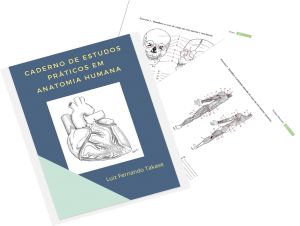 E-book gratuito apresenta estudos práticos da anatomia humana