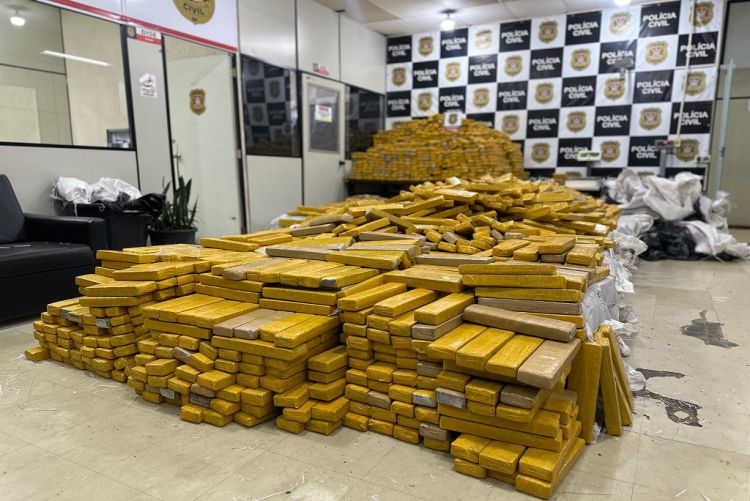 Policiais do Denarc apreendem mais de 4 toneladas de maconha