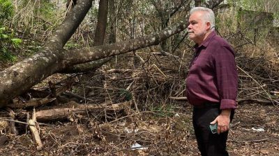 NO GREGÓRIO - Lineu requer revegetação de mata comprometida por obra que instalou tubulações de esgoto