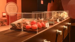Últimos dias para visitar a exposição imersiva sobre a Grande Muralha da China em Campinas