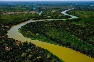 Lei do Pantanal é sancionada para garantir conservação do bioma