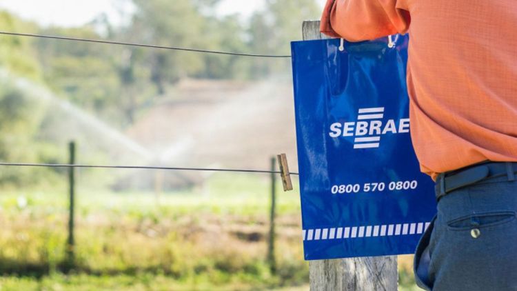 Produtor rural: Sebrae-SP abre 75 vagas para programa de inovação na região de São Carlos