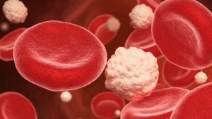 Na USP de São Carlos: Nanotecnologia e medicina tradicional se unem em possível tratamento inovador contra o diabetes