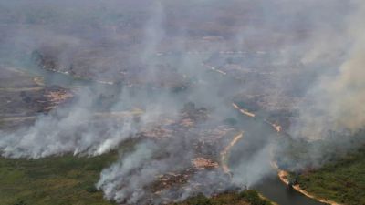 Frequência de desastres por incêndios florestais dispara no mundo, mostra estudo