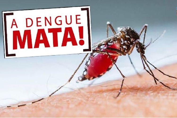 Ibaté registra primeiro óbito por dengue em 2024