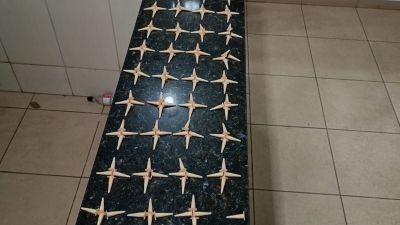 GAM prende jovem de 23 anos por tráfico de drogas no Jardim Jockey Club, em São Carlos