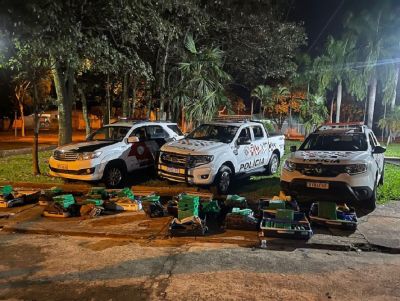 PM prende quarteto e apreende dois adolescentes com 382 tijolos de maconha em Teodoro Sampaio