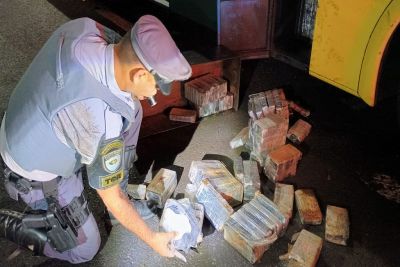 Homem é preso com quase 400 quilos de drogas em Palmital
