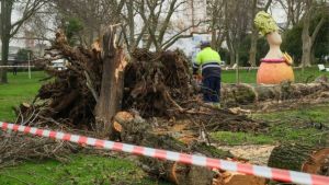 Tempestade em Portugal mata cinco pessoas, provoca apagão e deslizamentos