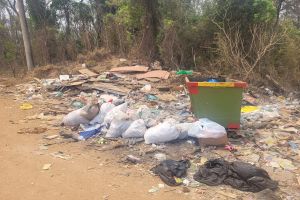 Meio Ambiente vai recuperar mais de 80 áreas degradadas da cidade