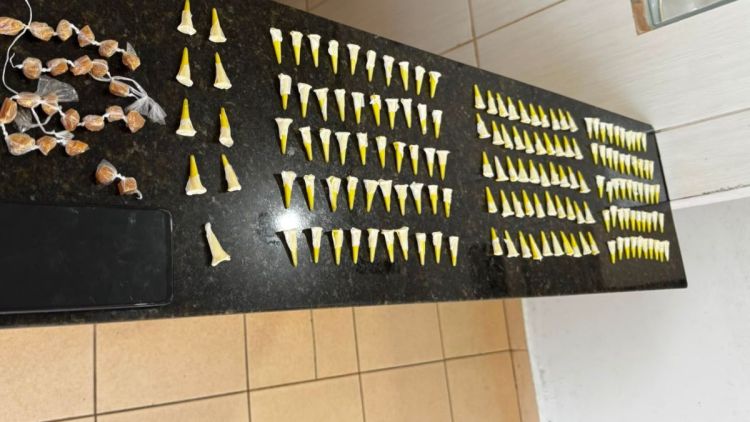 Operação da Polícia Militar termina com apreensão de drogas e adolescente no CDHU de São Carlos