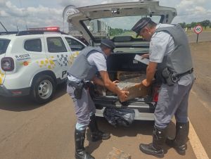 Polícia Militar Rodoviária apreende 226 kg de maconha em Marília