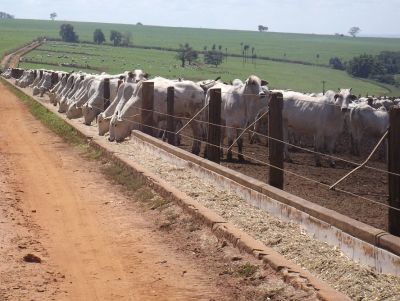 Novo misturador de ração vertical é um dos destaques na Agrishow